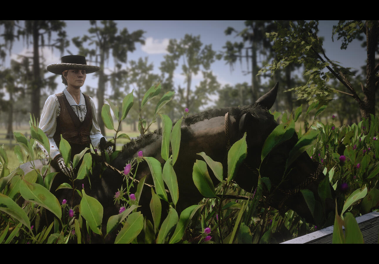 in the hedge by muffin